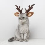Adorno navideño para mascotas, adorno navideño, banda para el pelo con astas, L - Imagen 4