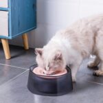 Cuenco para beber con flotabilidad para mascotas, agua a prueba de salpicaduras para perros y gatos, cuenco para beber - Imagen 3