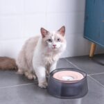 Cuenco para beber con flotabilidad para mascotas, agua a prueba de salpicaduras para perros y gatos, cuenco para beber - Imagen 5