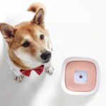 Cuenco flotante para beber para mascotas sin boca húmeda, cuenco para beber a prueba de salpicaduras, bebedero para mascotas - Imagen 3