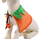 Ropa de capa para mascotas de Halloween Capa de vestir bordada de doble cara, S