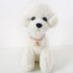4 Uds ajustable gato perro conejo hebilla de seguridad Collar accesorios para mascotas, S 17-32cm Star
