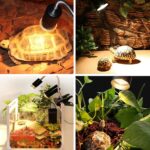 Soporte para lámpara de bronceado UVB de tortuga Soporte de luz de calefacción solar para mascotas de espectro completo, enchufe de la UE - Imagen 5