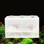 Grande con incubadora de tablillas Caja de aislamiento de peces pequeños Caja de cría de peces tropicales netos