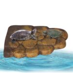 Plataforma para tomar el sol con isla flotante magnética para mascotas pequeñas