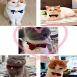 5 uds. Collar ajustable con lazo de terciopelo para mascotas, accesorios para pajarita para gato, perro y conejo, S 17-30cm Bowknot - Imagen 6