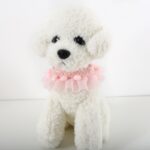 6 piezas de encaje para mascotas, collar ajustable, accesorios para fotos de perros y gatos, S 20-25cm - Imagen 2