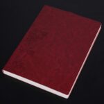 Cuaderno de 3 uds., Bloc de notas para estudiantes, libro diario, libro de registro de negocios, cuaderno de PU, B5 Embossed Bitter Tea Red