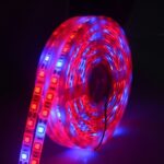 5m 300 LEDs SMD 5050 Luz de tira LED de espectro completo Fitolampy Luces de cultivo para plantas hidropónicas de invernadero, Non Waterproof, Waterproof