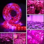 5m 300 LEDs SMD 5050 Luz de tira LED de espectro completo Fitolampy Luces de cultivo para plantas hidropónicas de invernadero, Non Waterproof, Waterproof - Imagen 5