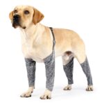Pantalones de cuatro patas para exteriores para perros, cubierta impermeable y a prueba de suciedad para piernas, XS