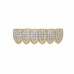 Accesorios de Halloween Tirantes de hip-hop de circonio con microincrustaciones, Gold Lower Teeth - Imagen 2