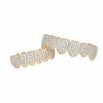Accesorios de Halloween Tirantes de hip-hop de circonio con microincrustaciones, Gold Lower Teeth - Imagen 5