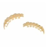 Hip-HopChapado en Oro con Microincrustaciones de Circón 8 Tirantes de Oro, Gold Suit - Imagen 3