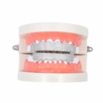 Hip-HopChapado en Oro con Microincrustaciones de Circón 8 Tirantes de Oro, Silver Upper Teeth