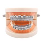 8 dientes cuadrados de circonio dientes de oro tirantes de hip hop, Silver Suit