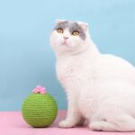 Vaso de bola para atrapar gatos de sisal con juguete de hierba gatera, Tumbler Ball