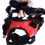 Mochila de pecho para mascotas, mochila desmontable al aire libre multifuncional para perros con correa, L - Imagen 3