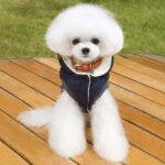 Abrigo acolchado de invierno Chaqueta de algodón súper cálida y suave para perro mascota, M - Imagen 3