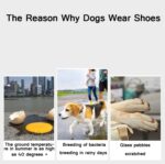 JML Zapatos deportivos para mascotas, antideslizantes, resistentes al desgaste, cómodos y transpirables para perros, 1, 2, 3, 4, 5 - Imagen 5