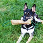 Suministros de entrenamiento para perros, palo para morder de cáñamo, palo para morder para perros, A2 - Imagen 11