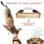 Suministros de entrenamiento para perros, palo para morder de cáñamo, palo para morder para perros, A5 - Imagen 8
