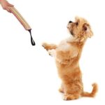 Suministros de entrenamiento para perros, palo para morder de cáñamo, palo para morder para perros, A5 - Imagen 9