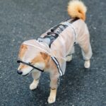 Chubasquero para perros Poncho reflectante transparente impermeable de cuatro pies, M