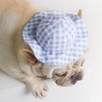 2 PCS Perro ?? Sombrero Verano Fresco Foto Decoración Mascota Gato Sombrero para el sol, M - Imagen 4