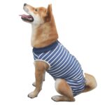 Bata quirúrgica de esterilización para mascotas, ropa de enfermería postoperatoria altamente elástica y transpirable, XXXL