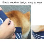 Bata quirúrgica de esterilización para mascotas, ropa de enfermería postoperatoria altamente elástica y transpirable, XXXL - Imagen 4