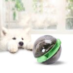 PC PC Plastic Cat Dog Puzzle No-Tumbler Fugas Ball Juguetes
