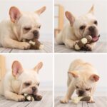 Juguete resistente a mordeduras de mascotas, dientes molares de piel de vaca de nailon, juguete para comer hueso para perros, Small (Steak) - Imagen 5