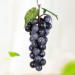 Simulación de fruta, simulación de uvas, PVC con accesorios para brotes de uva color crema, 4 Bunches 36 Black Grapes