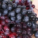 Simulación de fruta, simulación de uvas, PVC con accesorios para brotes de uva color crema, 4 Bunches 36 Red Grapes - Imagen 4