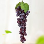 Simulación de fruta, simulación de uvas, PVC con accesorios para brotes de uva color crema, 2 Bunches 85 Purple Grape