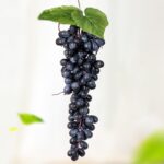 Simulación de fruta, simulación de uvas, PVC con accesorios para brotes de uva color crema, 2 Bunches 110 Black Grapes