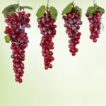 Simulación de fruta, simulación de uvas, PVC con accesorios para brotes de uva color crema, 2 Bunches 110 Red Grapes - Imagen 2