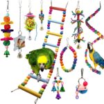 10 en 1 Parrot Juguete Juego Escalera Espejo Cadena de Bells