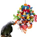 Medio Grande Loro Juguete Pájaro Pájaro Cuerda Cuerda Espada Cuerda Cuerda Mordida Juguetes