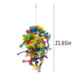 Medio Grande Loro Juguete Pájaro Pájaro Cuerda Cuerda Espada Cuerda Cuerda Mordida Juguetes - Imagen 2