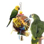 2 en 1 juguete loro Sepak Takraw Papel cepillado cepillado bola de mordida