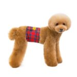 Pantalones fisiológicos para mascotas, cinturón educado antiacoso para perros machos, S - Imagen 2