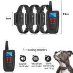 Paipaitek PD526-3 Dispositivo anti-ladrido Dog Electric Shock Colllar Capacitación Perro Control remoto Mascota Equipo de entrenamiento para mascotas - Imagen 3