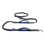 Tracción de cadena de perro de cuerda de perro telescópica doble reflectante para correr, Royal Blue