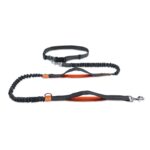 Tracción de cadena de perro de cuerda de perro telescópica doble reflectante para correr, Orange