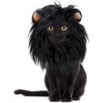 2 uds mascota perro gato imitación León tocado tocado peluca sombrero, L