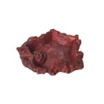 Reptil Agua Comida Cuenca Tortuga Lagarto Serpiente Cuenca de agua, 3 PCS Little Red Food Bowl