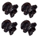 Accesorios de fotografía de modelo de comida de simulación, 10 PCS Fungus