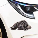Pegatinas de coche de perro de simulación 3D, pegatinas de decoración de afeitado para arañazos, protector solar a prueba de lluvia, Style 3 Small - Imagen 5